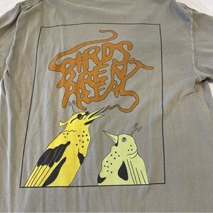 Birds aren’t real t-shirt